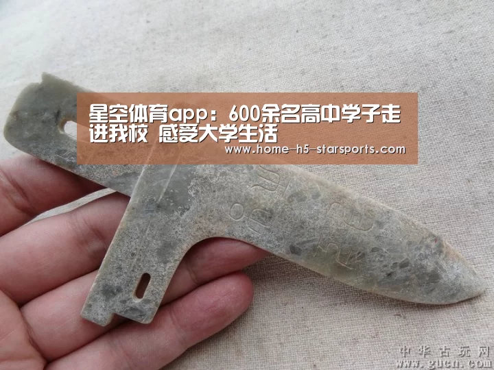星空体育app:600余名高中学子走进我校 感受大学生活(图4) 手机应用