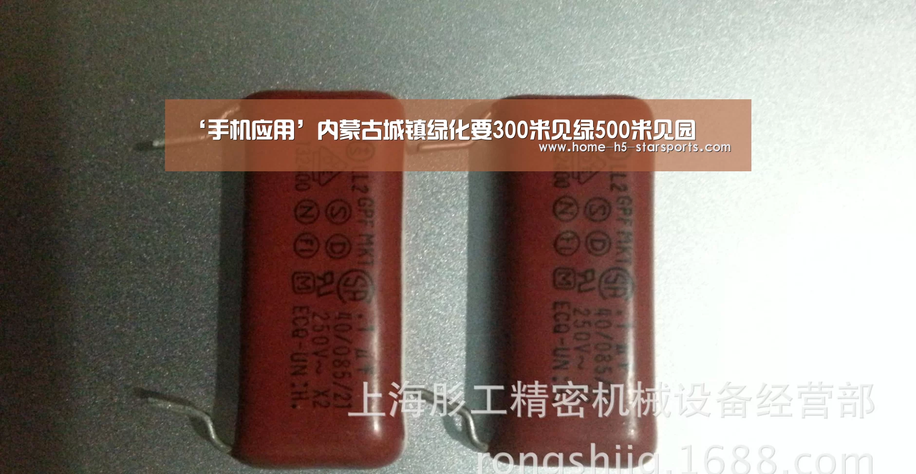 ‘手机应用’内蒙古城镇绿化要300米见绿500米见园(图1) 星空体育app