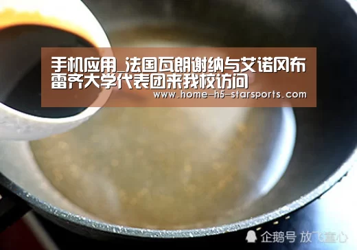 手机应用_法国瓦朗谢纳与艾诺冈布雷齐大学代表团来我校访问(图2) 手机应用