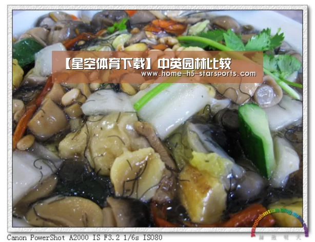 【星空体育下载】中英园林比较(图1) 星空体育app