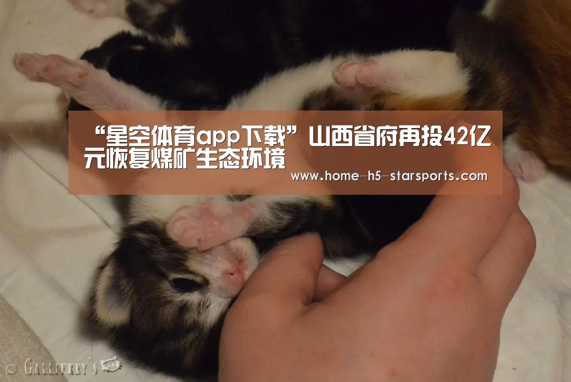 “星空体育app下载”山西省府再投42亿元恢复煤矿生态环境(图3) 星空体育下载