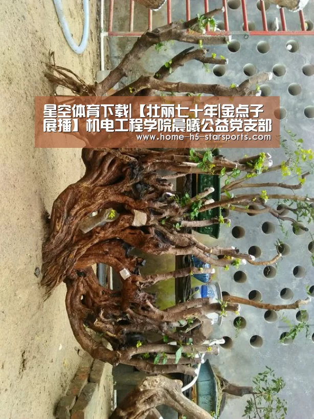 星空体育下载|【壮丽七十年|金点子展播】机电工程学院晨曦公益党支部开展“初心永挚七十载 青春筑梦新时代”主题系列活动(图2) 星空体育app下载