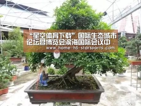 “星空体育下载”国际生态城市论坛暨博览会滨海国际会议中心举(图2) 星空体育下载