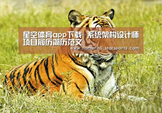 星空体育下载
