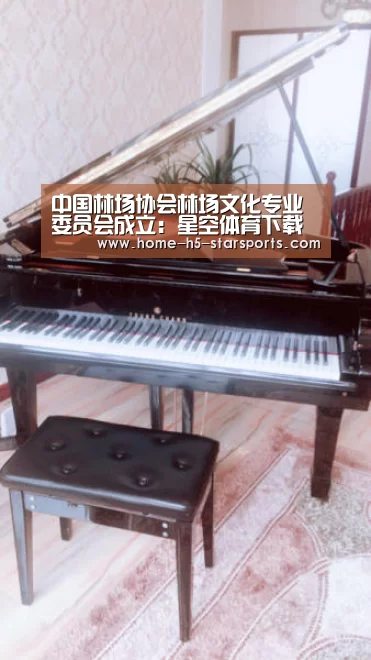 手机应用